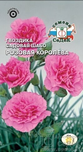 Семена Гвоздика Шабо Розовая королева 0 1 г  СеДеК 