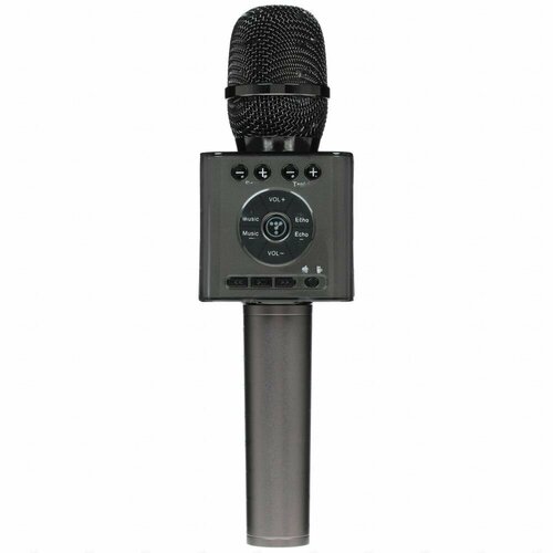 Микрофон Tosing 04 серый 1024700₽