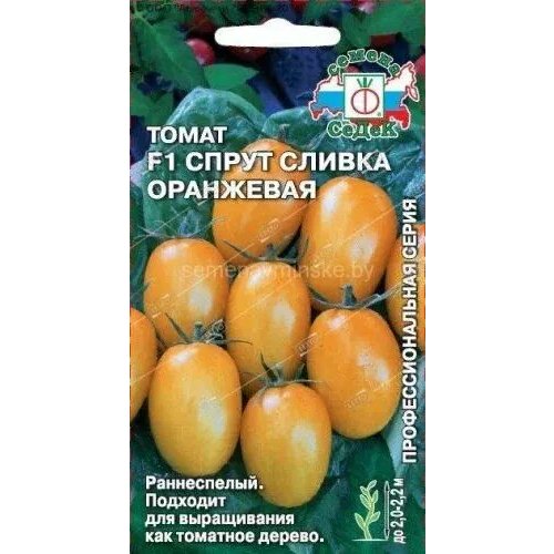 Томат Спрут Сливка Оранжевый F1, семена Седек 0,03г