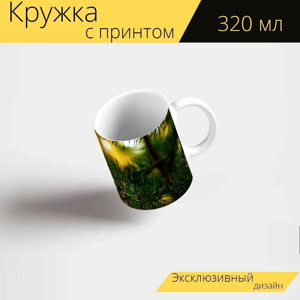 Кружка с рисунком, принтом "Лес, мох, природа" 320 мл.