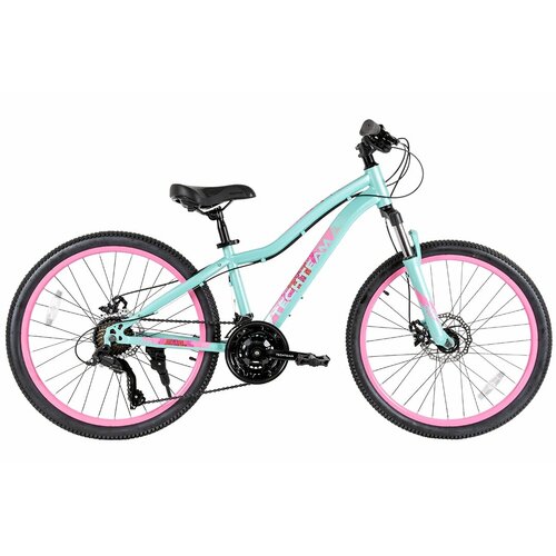 Велосипед Tech Team Delta 24х13 голубой 31125₽