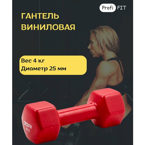 Гантель в виниловой оболочке, шестигранник 4 кг, красная PROFI-FIT гантель profi fit в виниловой оболочке 2 кг оранжевый