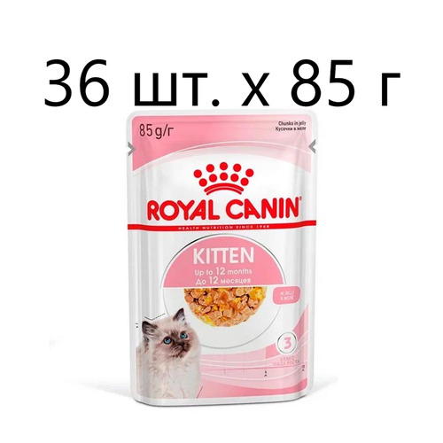 Влажный корм для котят Royal Canin Kitten, 36 шт. х 85 г (кусочки в желе) набор влажных кормов purina cat chow kitten для котят с ягненком и кабачками в соусе с индейкой и кабачками в желе шоу бокс 10х85г