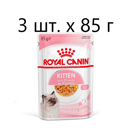 Влажный корм для котят Royal Canin Kitten, 3 шт. х 85 г (кусочки в желе) набор влажных кормов purina cat chow kitten для котят с ягненком и кабачками в соусе с индейкой и кабачками в желе шоу бокс 10х85г