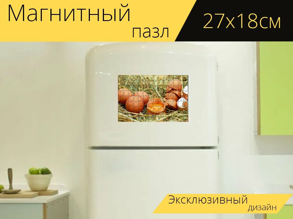 Магнитный пазл "Яйца, куриные яйца, сырые яйца" на холодильник 27 x 18 см.
