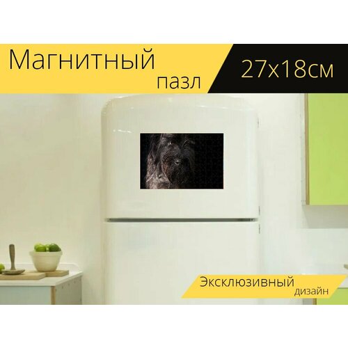 Магнитный пазл Собака, шнауцер, животное на холодильник 27 x 18 см.