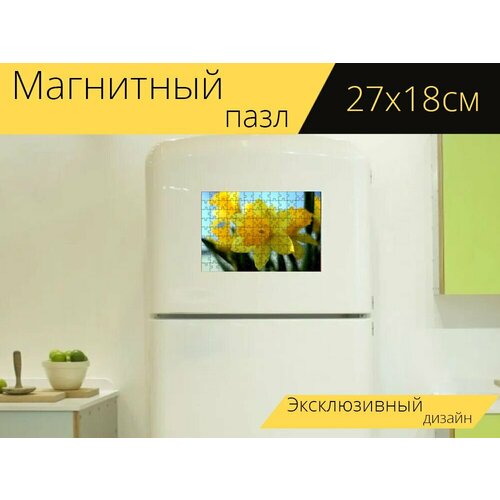 Магнитный пазл Нарцисс, цветок, цвести на холодильник 27 x 18 см. магнитный пазл цвести нарцисс желтый нарцисс на холодильник 27 x 18 см