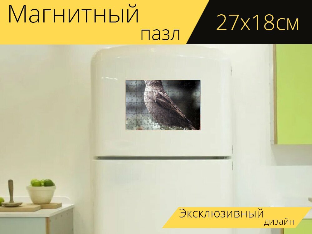Магнитный пазл "Птица, воробей, клюв" на холодильник 27 x 18 см.