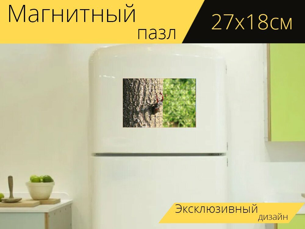 Магнитный пазл "Жук, альпинизм, мужчина" на холодильник 27 x 18 см.