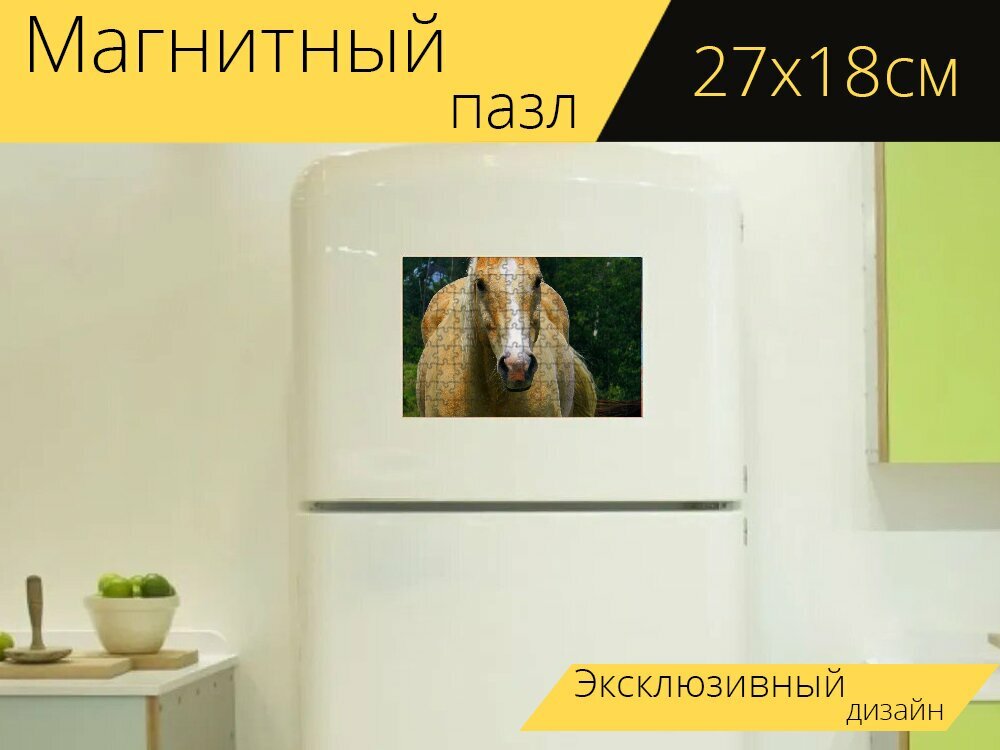Магнитный пазл "Паломино лошадь, американская четверть лошадь, луг" на холодильник 27 x 18 см.