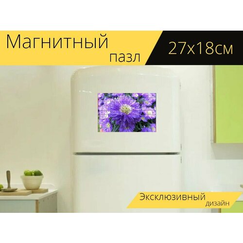 Магнитный пазл Цветок, цвести, летний цветок на холодильник 27 x 18 см. магнитный пазл императорская корона цвести цветок на холодильник 27 x 18 см