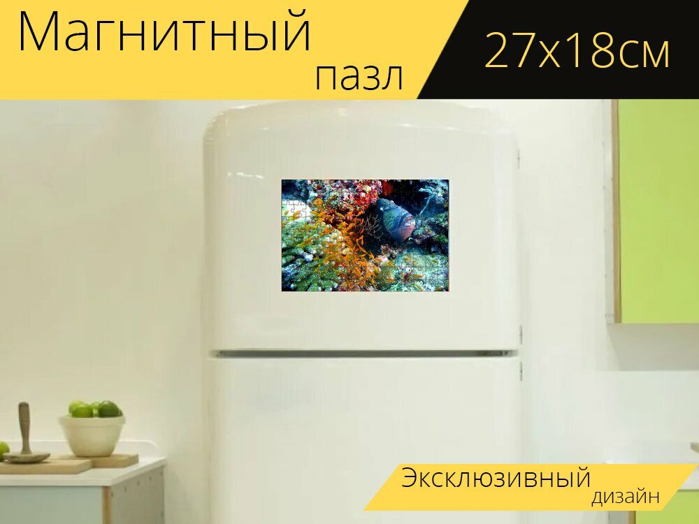 Магнитный пазл "Рыбы, спусковой крючок, спинорог" на холодильник 27 x 18 см.