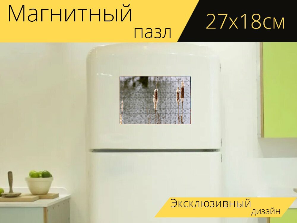 Магнитный пазл "Уайлдфлауэр, палица, рогоз" на холодильник 27 x 18 см.