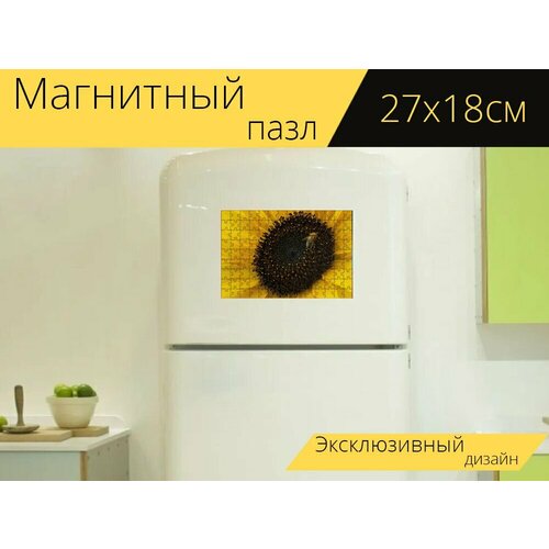 Магнитный пазл Подсолнечник, пчела, цветок на холодильник 27 x 18 см. магнитный пазл подсолнечник цветок лето на холодильник 27 x 18 см