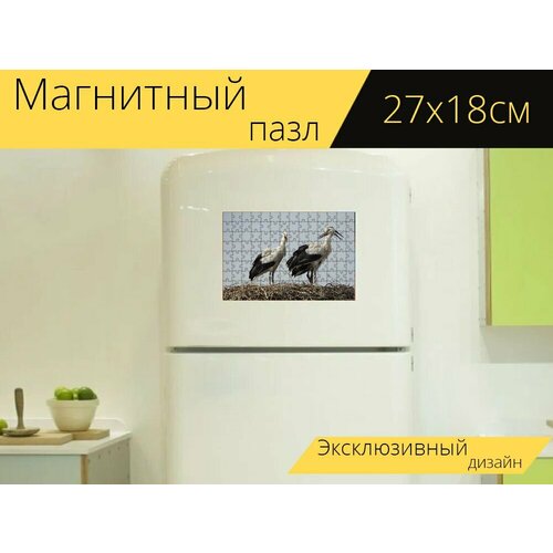 Магнитный пазл Аисты, птицы, молодые на холодильник 27 x 18 см.