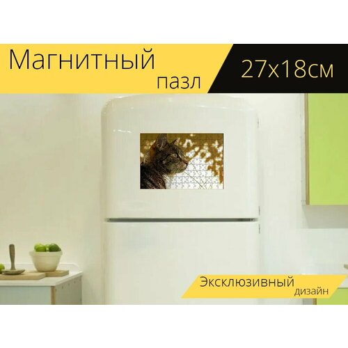 Магнитный пазл Кот, домашнее животное, животное на холодильник 27 x 18 см. магнитный пазл хаски домашнее животное животное на холодильник 27 x 18 см