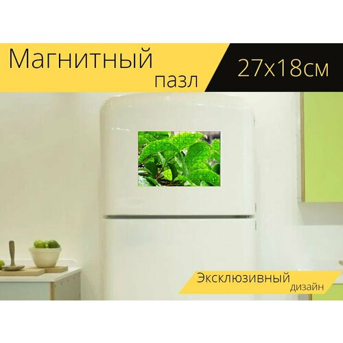 Магнитный пазл Лист, зеленый, листья на холодильник 27 x 18 см.