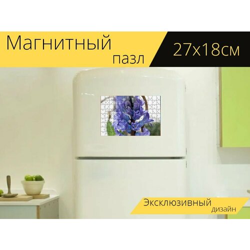 Магнитный пазл Гиацинты, цветы, фиолетовые цветы на холодильник 27 x 18 см.