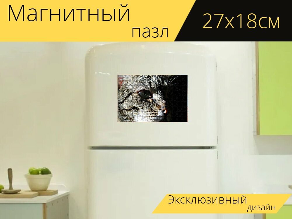 Магнитный пазл "Кошка, тень, портрет животных" на холодильник 27 x 18 см.