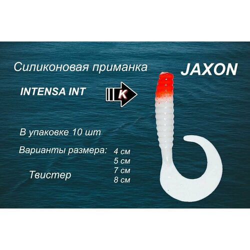 Силиконовая приманка JAXON INTENSA (TG-INT038)