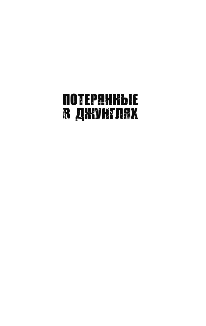 Потерянные в джунглях. Первая опубликованная книга-расследование о жутком исчезновении Крис Кремерс и Лисанн Фрон в панамских джунглях - фото №3