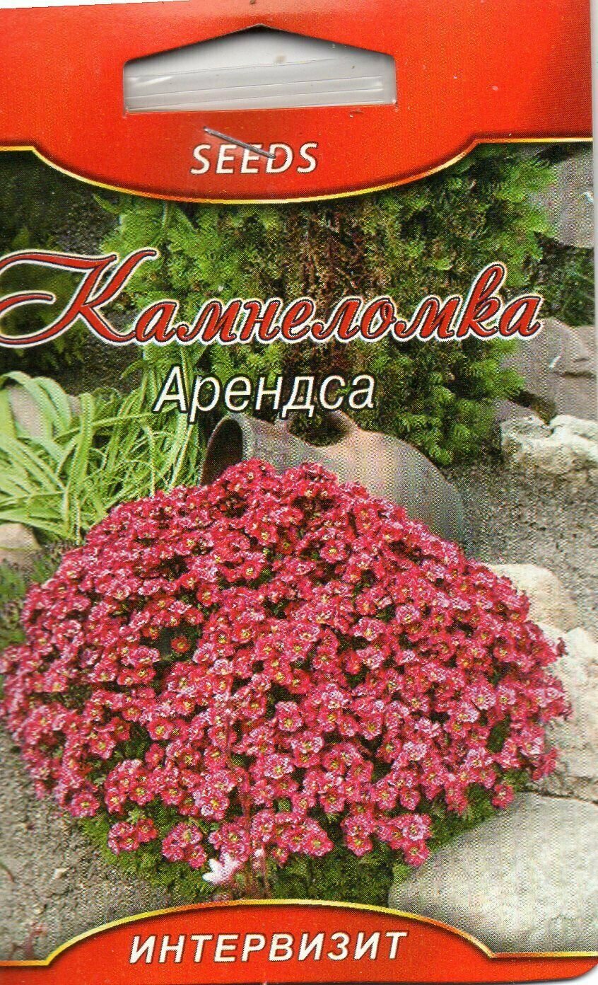 Камнеломка Арендса (Saxifraga arendsii)семена