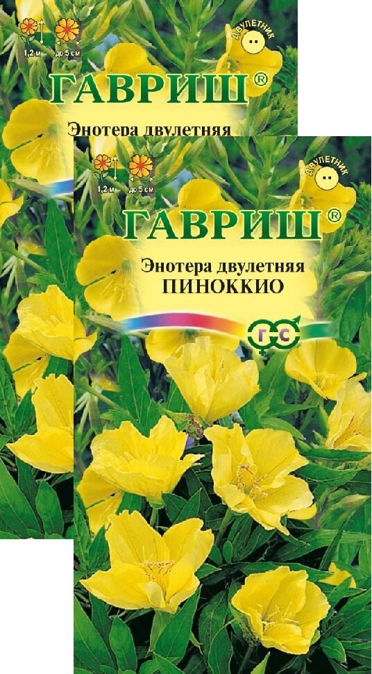 Энотера двулетняя Пиноккио (0,3 г), 2 пакета