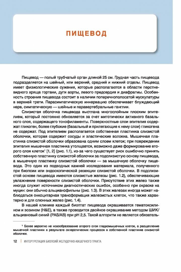 Интерпретация биопсий желудочно-кишечного тракта. Том 1. Неопухолевые болезни - фото №3