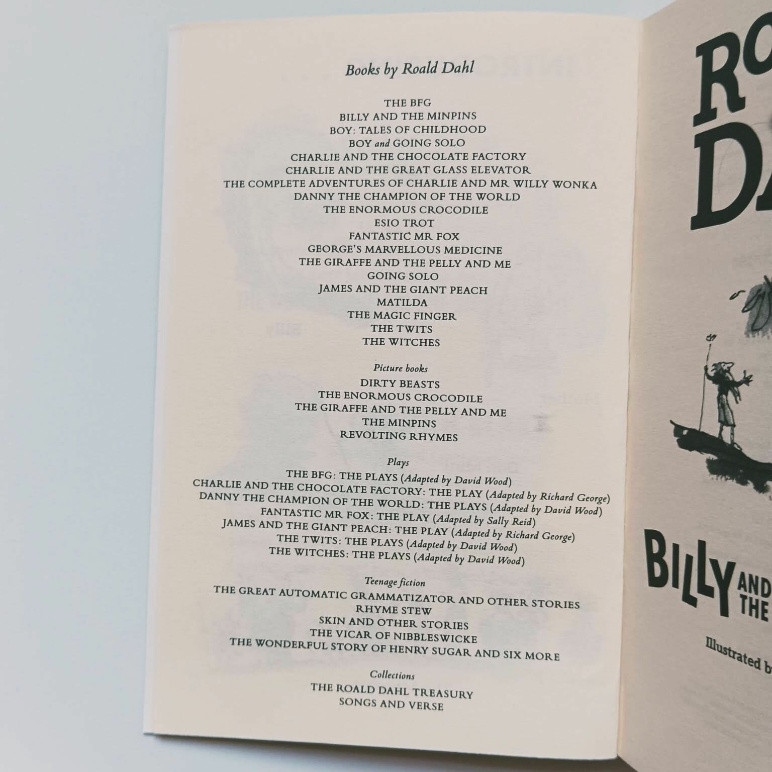 Billy and the Minpins (Roald Dahl) - фото №10