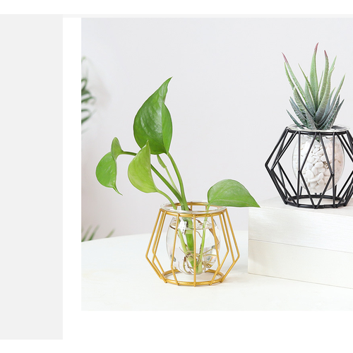 Мини-ваза для кактуса MyPads, металлическая настольная полая без стенок со стеклянной колбой, идеально впишется в интерьер в стиле минимализма, зол.