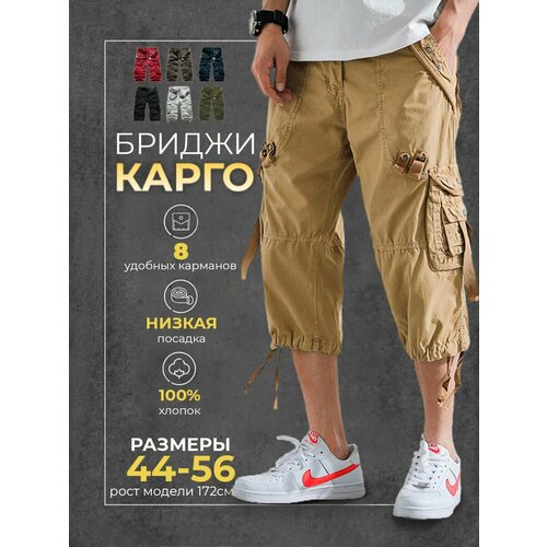 фото Шорты modniki, размер l-50, бежевый