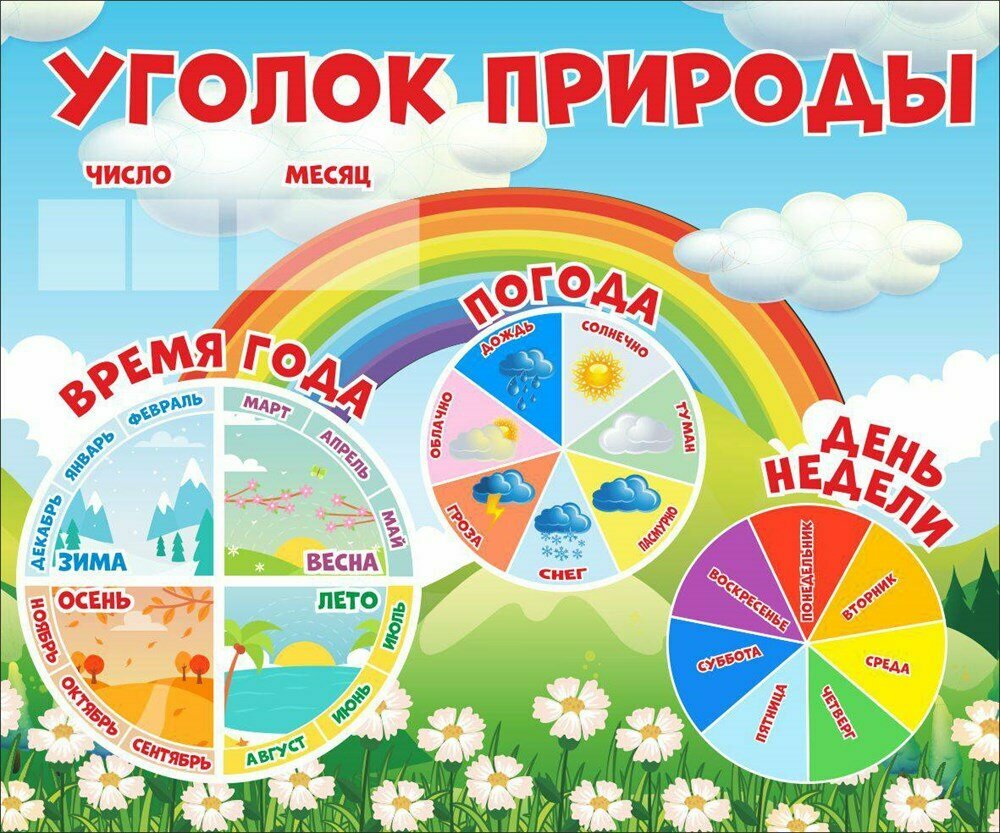 Уголок природы...