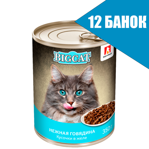Зоогурман BIG CAT для кошек кусочки в желе Нежная Говядина, консервы 350г (12 штук)