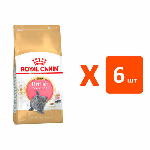 ROYAL CANIN BRITISH SHORTHAIR KITTEN 34 для британских короткошерстных котят (2 кг х 6 шт) kitten sleeveless british short puppet cat anti hair falling clothes