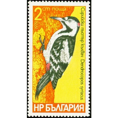 (1978-059) Марка Болгария Сирийский дятел Дятлы III O 1978 060 марка болгария трёхпалый дятел дятлы iii o
