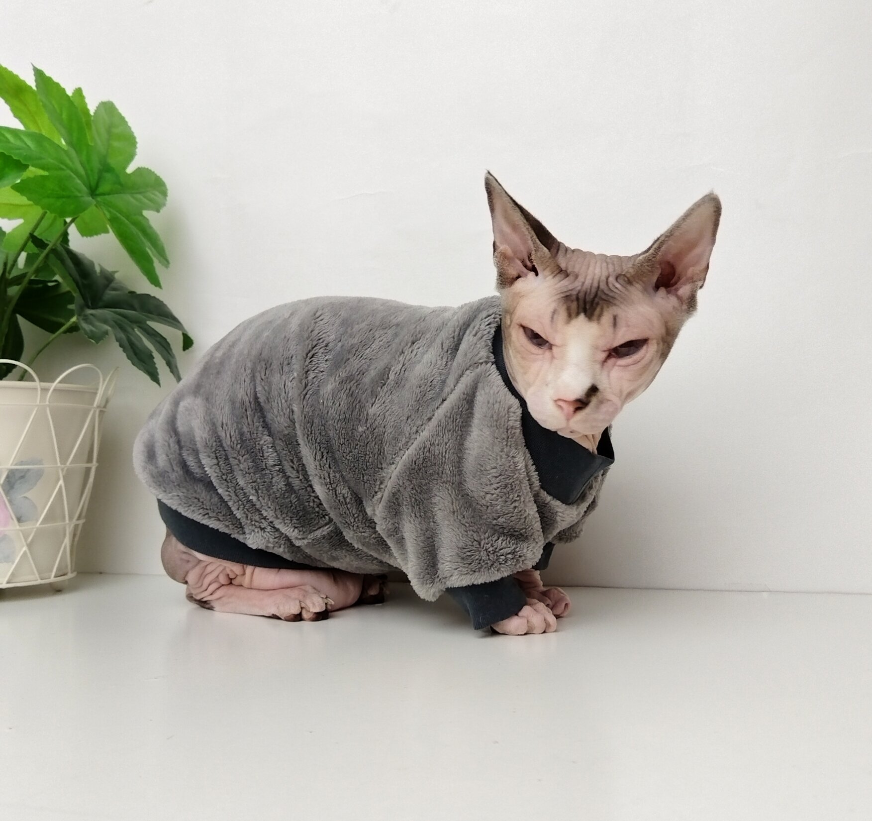Толстовка, свитер, шуба для кошек сфинкс, размер 40 (длина спины 40см), цвет темно-серый/ одежда для кошек сфинкс / одежда для животных