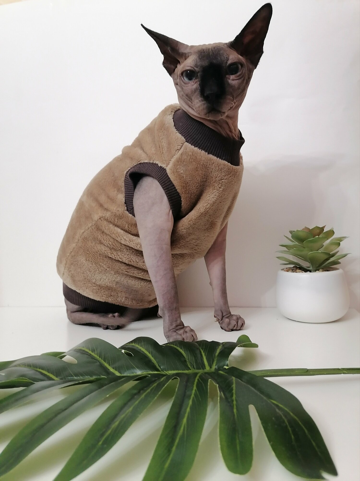 Толстовка, свитер, шуба для кошек сфинкс, размер 35 (длина спины 35см), цвет бежевый/ Одежда для кошек сфинкс / одежда для животных