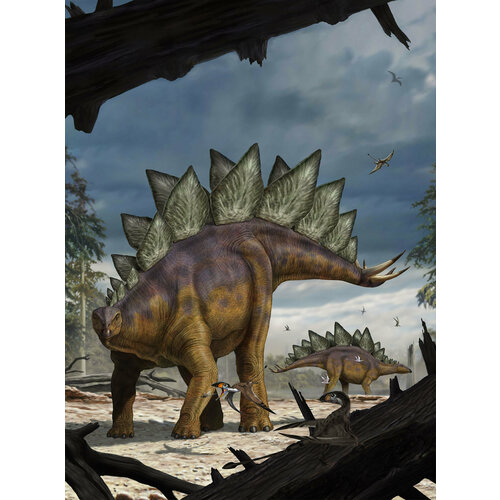 Фотообои флизелиновые KOMAR XXL2-530 по лицензии NATIONAL GEOGRAPHIC Стегозавр (Stegosaurus) 184х248м (ШхВ)