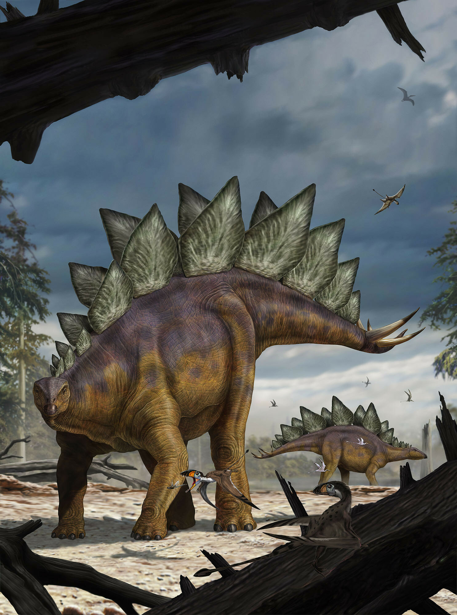 Фотообои флизелиновые KOMAR XXL2-530 по лицензии NATIONAL GEOGRAPHIC "Стегозавр (Stegosaurus)" 184х248м (ШхВ)