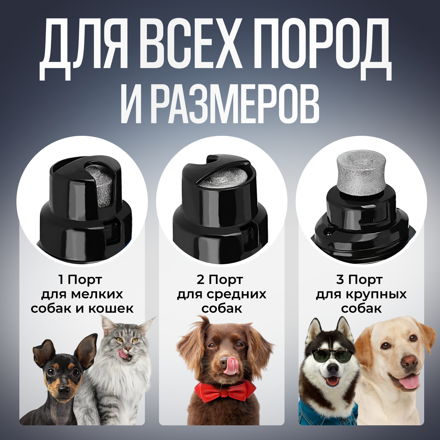 Мощный профессиональный когтерез-гриндер Alter Dog для собак и котов - фотография № 8