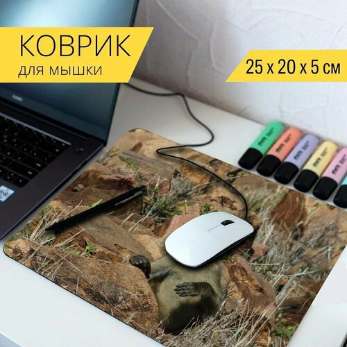 Коврик для мыши с принтом Обезьяна, природа, зоопарк 25x20см. коврик для мыши с принтом зоопарк природа домашний питомец 25x20см