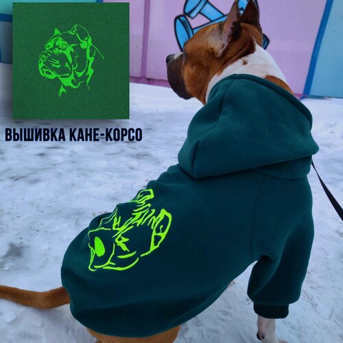 Изображение товара Худи для собак с вышивкой Кане Корсо от DOGTON . Худи с начесом и капюшоном для ежедневных прогулок. Размер "XXL"