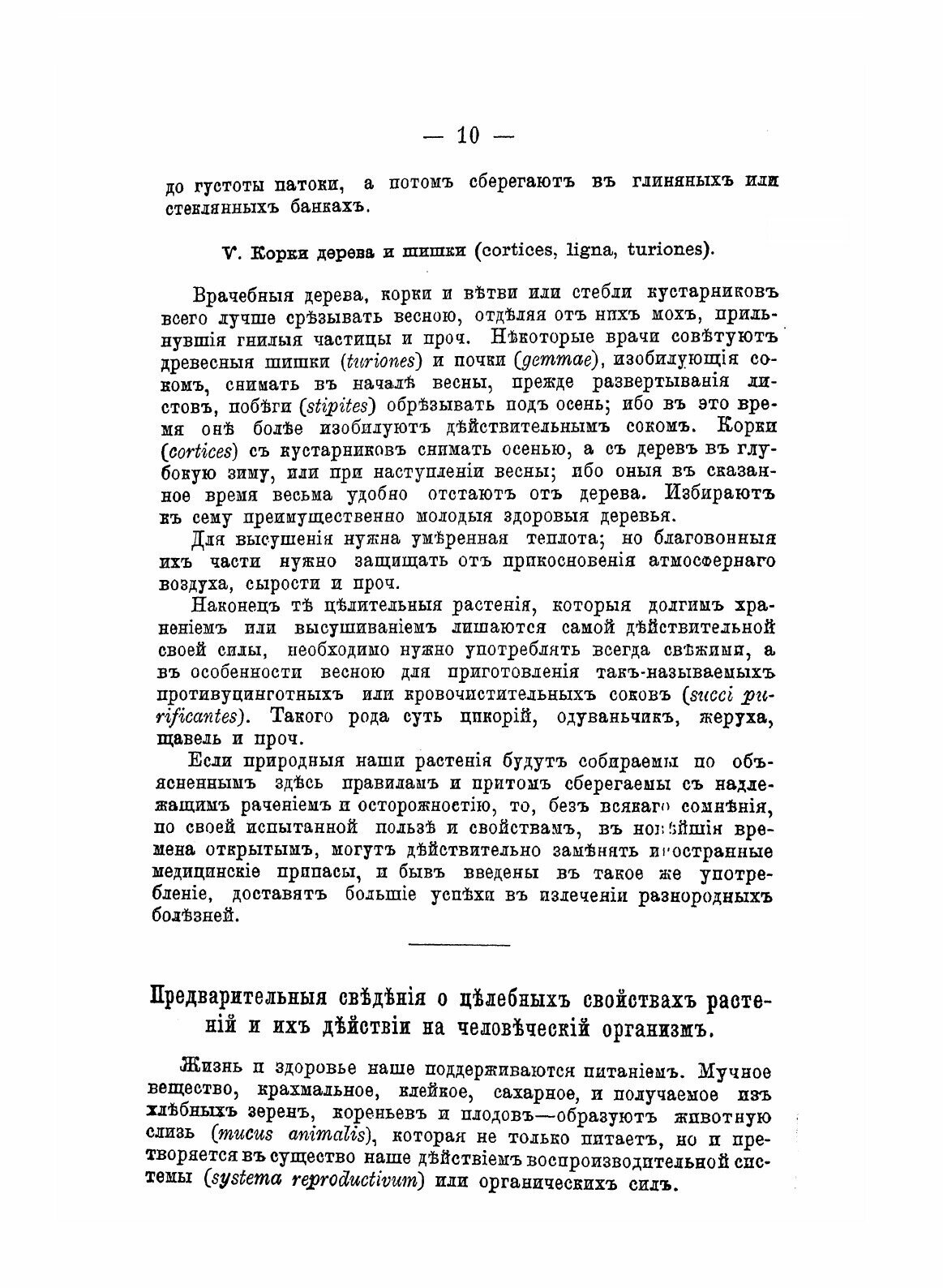 Книга Целебные Силы природы (Неизвестный автор) - фото №6