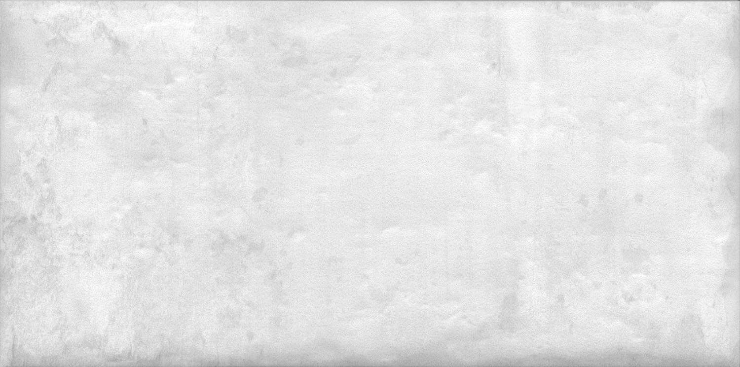 19065 Граффити серый светлый 20*9.9 керам. плитка