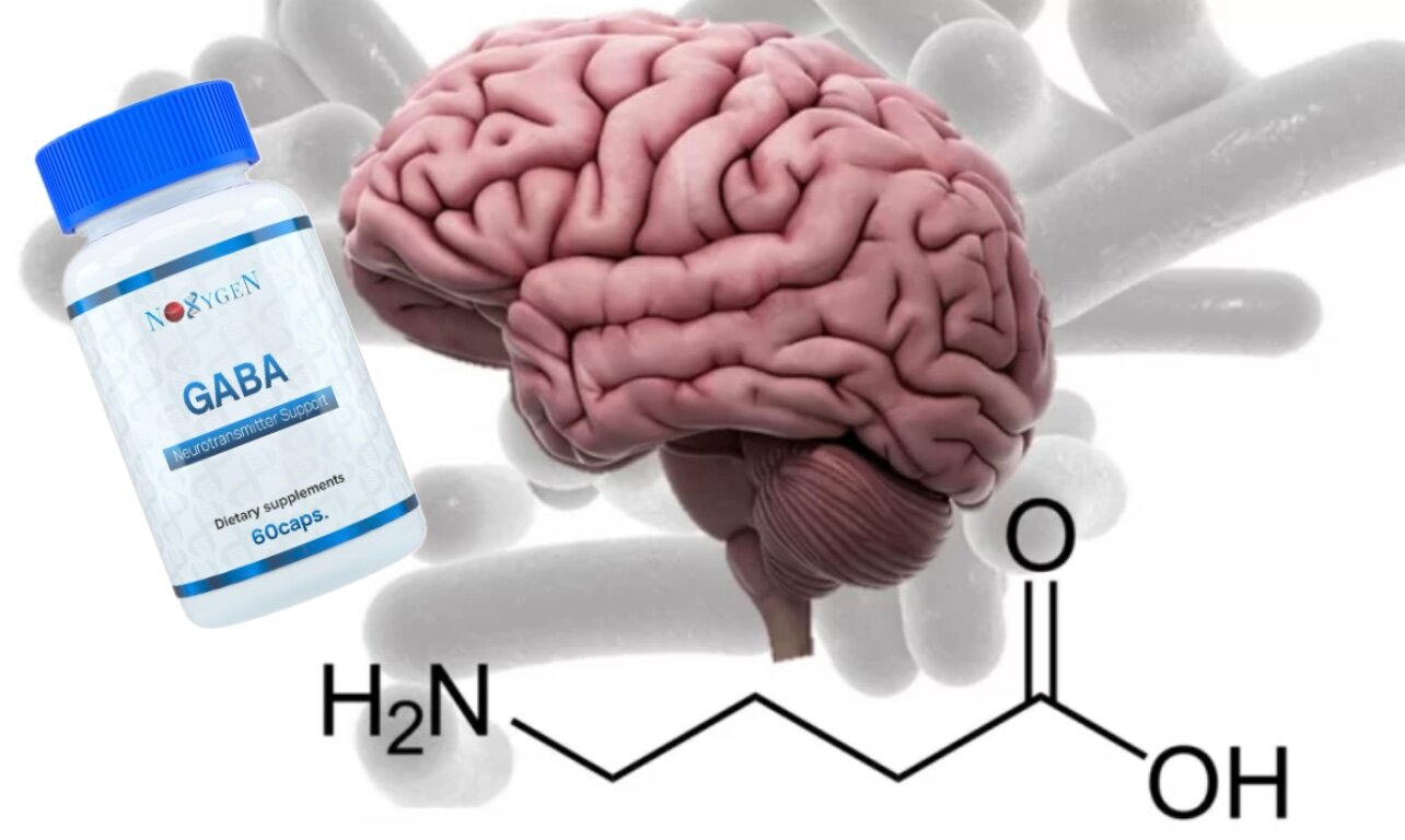 Noxygen GABA аминокислота гамк 500mg, антистресс, улучшение настроения и мотивации