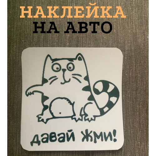 Кот на Авто - Влагостойкая Наклейка на Автомобиль