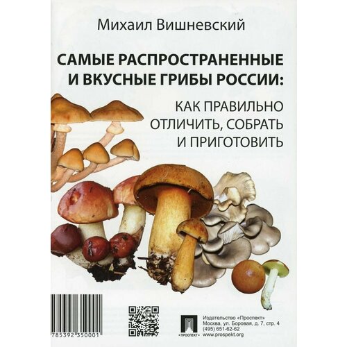 Самые распространенные и вкусные грибы России: как правильно отличить, собрать и приготовить