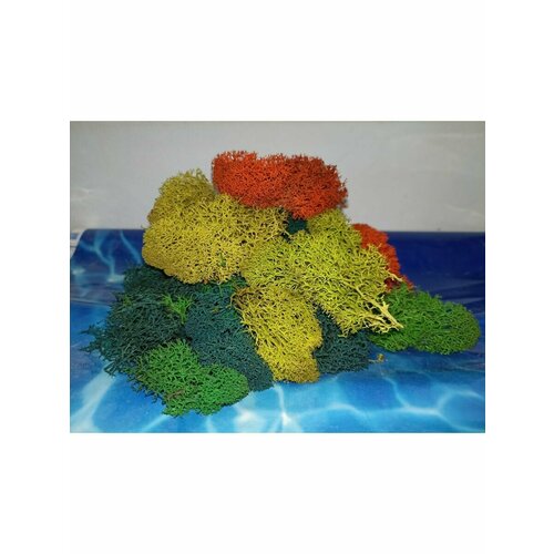 Стабилизированный мох 3 сорт ассорти 300 г