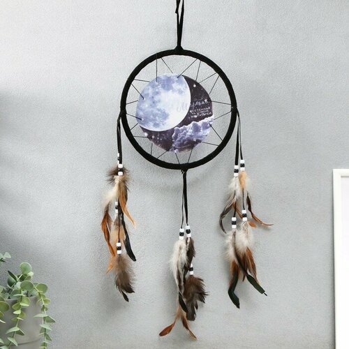 Ловец снов Луна - Мечтай вселенная на стороне мечтателей d20 см 483₽