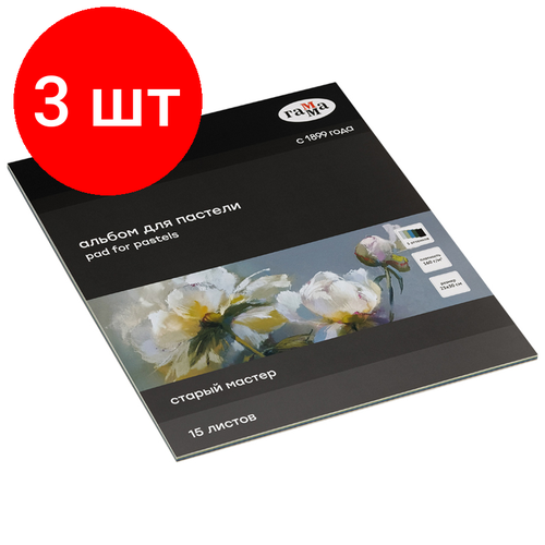 Комплект 3 шт, Альбом для пастели, 15л, 250*300мм, на склейке Гамма Старый Мастер, 160г/м2, ячеистая фактура, 5 цветов, холодные тона dns premium 160 г м2 sra 3 320x450 мм 250 листов